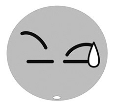 表情包:流汗                            